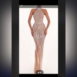 Elegant Silver and Nude Evening Gown